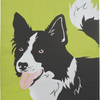 Border Collie Tea Towels - Vault Country Clothing